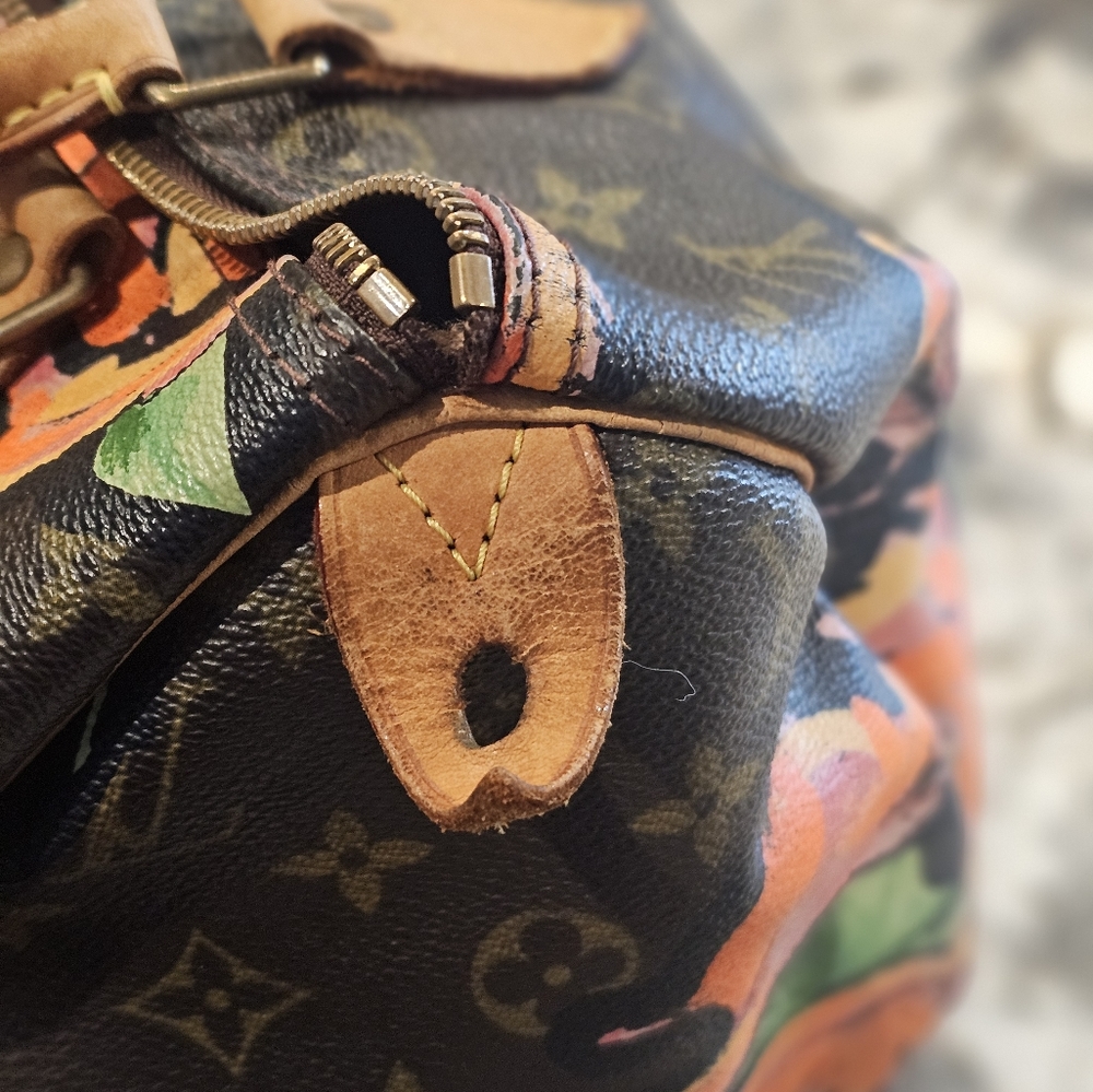 LV speedy 30 with roses - Picture 6 of 10